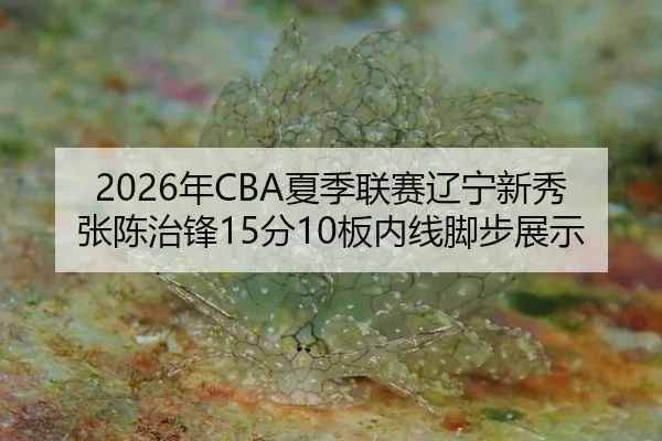 2026年CBA夏季联赛辽宁新秀张陈治锋15分10板内线脚步展示